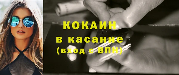 гидра Арсеньев