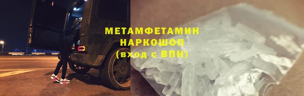 гидра Арсеньев