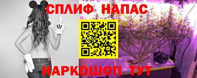 сатива Краснознаменск