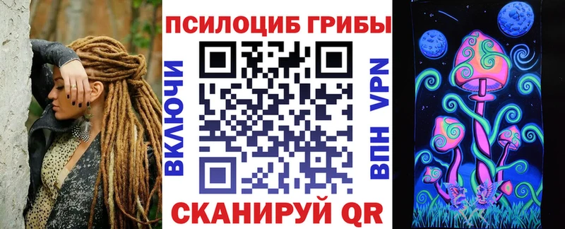 где найти   Кубинка  Галлюциногенные грибы GOLDEN TEACHER 