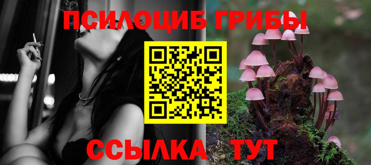 Галлюциногенные грибы ЛСД  Псилоцибиновые грибы мицелий  Вход с VPN  Кубинка 